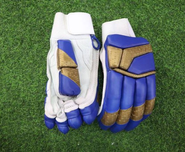 DS Batting Gloves Limited Edition