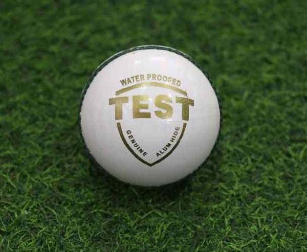 Drifts White Test Leather Ball