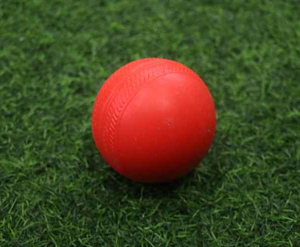 Plastic Training Balls (80g)