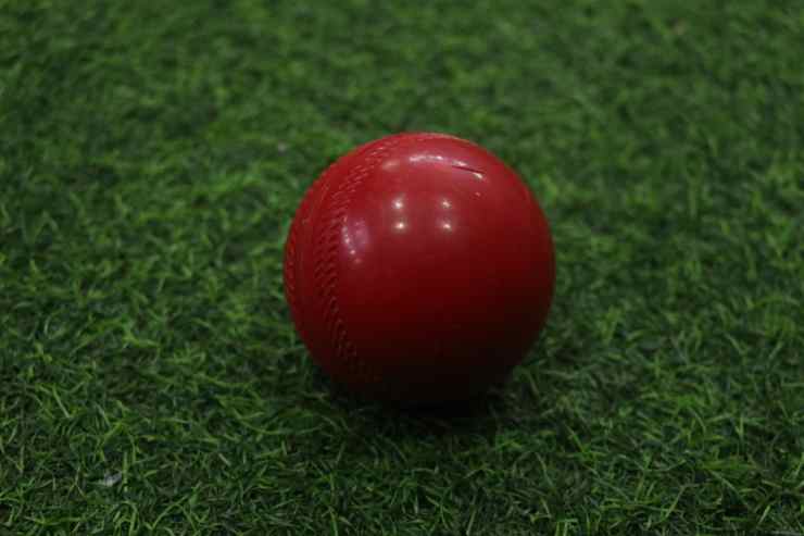Synthetic Practice Cricket Ball