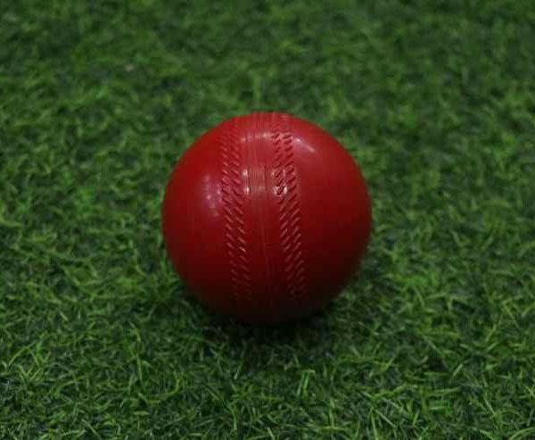 Synthetic Practice Cricket Ball